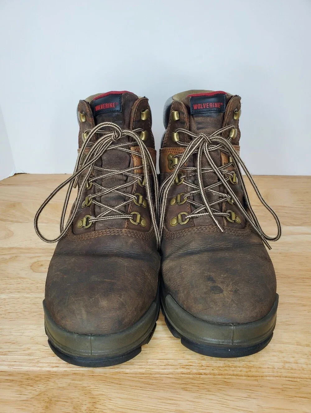 Wolverine moderate overall